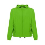 DUBLINERS lime green