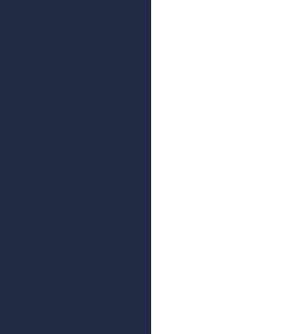 WhiteDark Blue