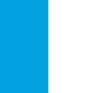 WhiteTurquoise